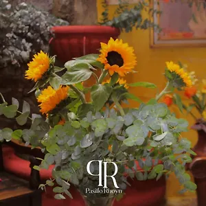 5* Hotel Pasillo Rholyn